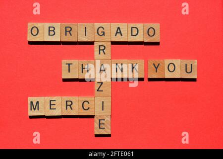 Vielen Dank, Wort in verschiedenen Sprachen, darunter Portugiesisch, Italienisch und Französisch Stockfoto