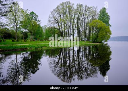 Laub am Flussufer im Keguma City Park, Kegums, Lettland Stockfoto
