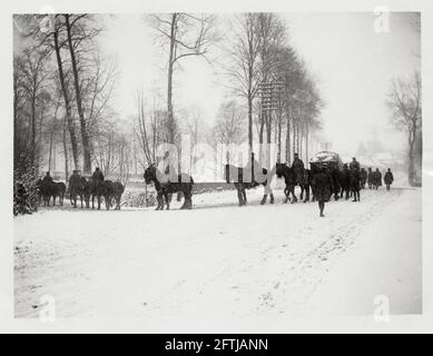 World war One, WWI, Western Front - Transport Pferde gehen für Wasser im Schnee, Frankreich Stockfoto