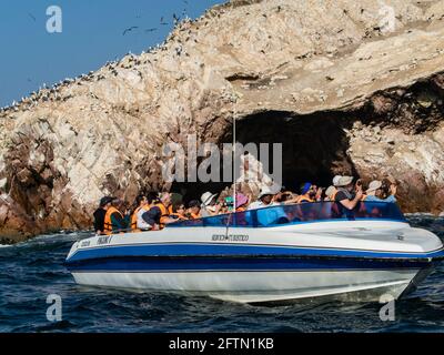 Paracas, Peru - Mai, 2016: Bootsfahrt mit Touristen beobachten wilde Möwen, Pelikane und andere wilde Vögel. Ballestas-Inseln, Paracas-Halbinsel, Pisco Stockfoto