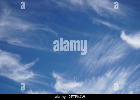 Schöner blauer Sommerhimmel mit weißen Federwolken, natürlicher Hintergrund für Banner.Weiche Spindrift-Wolken.natürliche bewölkte Himmelskulisse.Frühlingswolken tex Stockfoto