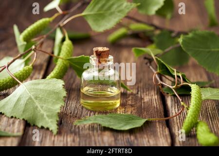 Eine Flasche ätherisches Öl mit Birkenzweigen und Kätzchen Stockfoto