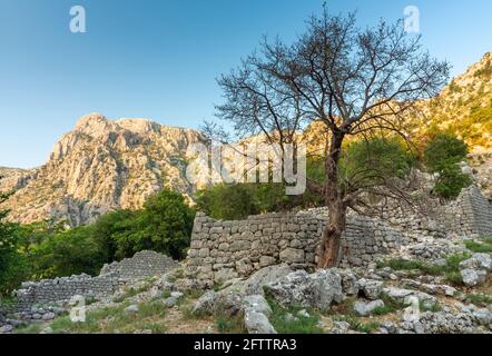 Neben der Festung von Kotor im Spätsommer unter den alten Ruinen einer alten verfallenen Kirche, inmitten einer atemberaubenden Berglandschaft. Stockfoto