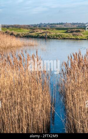 Snettisham Coastal Park und teilweise gefrorenen Heacham Hafen hinter dem Ostufer des Wash. Stockfoto