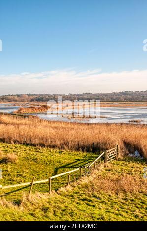 Eis auf den überfluteten Sümpfen des Ken Hill Estate hinter dem Ufer der Wash in Snettisham, Norfolk. Stockfoto