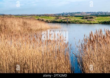 Snettisham Coastal Park und teilweise gefrorenen Heacham Hafen hinter dem Ostufer des Wash. Stockfoto