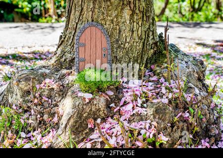 Kleine Märchentür aus Ton in einem Baumstamm mit rosa Blütenblättern. Stockfoto
