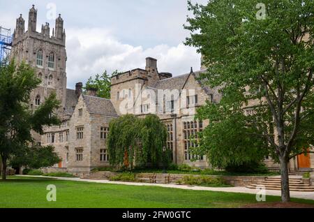 New Haven, USA - Juli 24 2013: Der Campus der Yale University in New Haven und seine alten Steingebäude unter wolkenfreiem Himmel Stockfoto