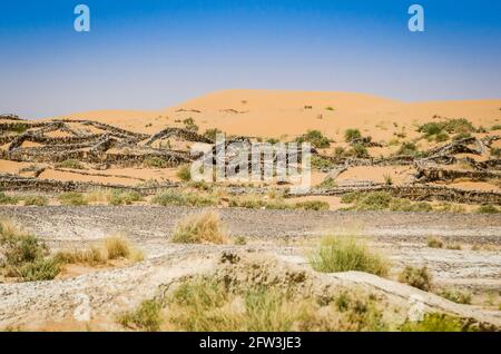 Sanddünen in der Nähe von Erfoud in Marokko mit Palmhemmern Blätter, die zur Beseitigung von Sandbewegungen verwendet werden Stockfoto