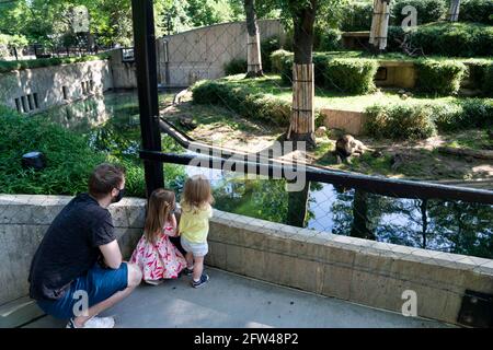 Washington, USA. Mai 2021. Am 21. Mai 2021 besuchen die Menschen den Smithsonian's National Zoo in Washington, DC, USA. Der Smithsonian's National Zoo wurde am Freitag in Washington, DC, mit 20 Prozent seiner vollen Kapazität wiedereröffnet, sodass Gäste die beliebten Riesenpandas und viele andere wilde Tiere des Landes besuchen können. Der Zoo schloss im März 2020 und wurde im Juli wieder eröffnet und im November aufgrund der COVID-19-Pandemie wieder geschlossen. Quelle: Liu Jie/Xinhua/Alamy Live News Stockfoto