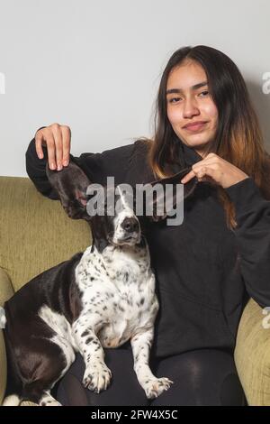 Lächelndes Mädchen, das auf einem Sofa in ihrem Wohnzimmer sitzt, blickt auf die Kamera und zeigt die offenen Ohren ihres Bassetthundes. Haustiere und Hauskonzept Stockfoto