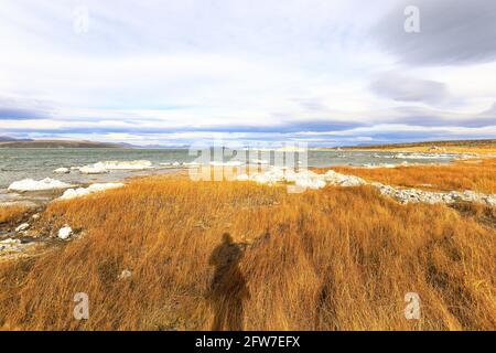 Kleine und große Inseln aus Tuffstein, einige davon fast wie ein Schneehaufen, am Mono Lake, Kalifornien Stockfoto