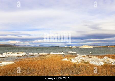 Kleine und große Inseln aus Tuffstein, einige davon fast wie ein Schneehaufen, am Mono Lake, Kalifornien Stockfoto