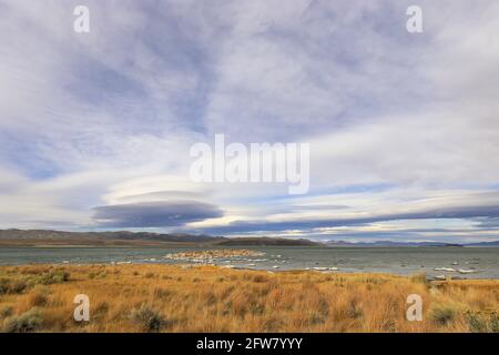 Kleine und große Inseln aus Tuffstein, einige davon fast wie ein Schneehaufen, am Mono Lake, Kalifornien Stockfoto