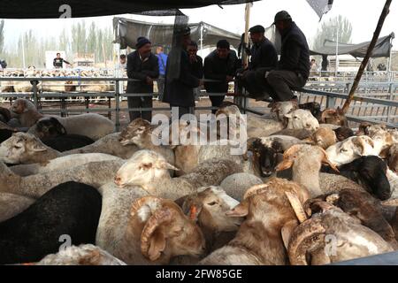 Sonntag Tiermarkt in der Nähe von Kashgar, Xinkiang, Volksrepublik China, 2019 Stockfoto