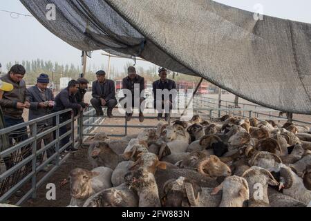 Sonntag Tiermarkt in der Nähe von Kashgar, Xinkiang, Volksrepublik China, 2019 Stockfoto