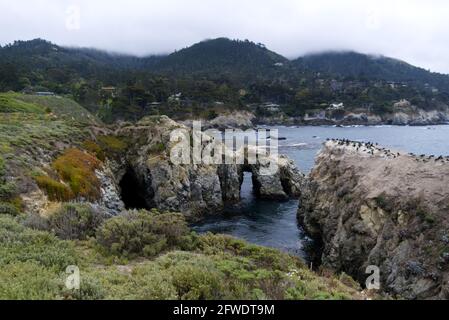 Point Lobos - Grotto & Bay Stockfoto