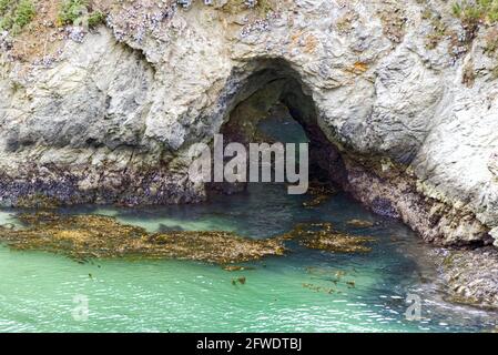 Point Lobos - Felsentunnel Stockfoto
