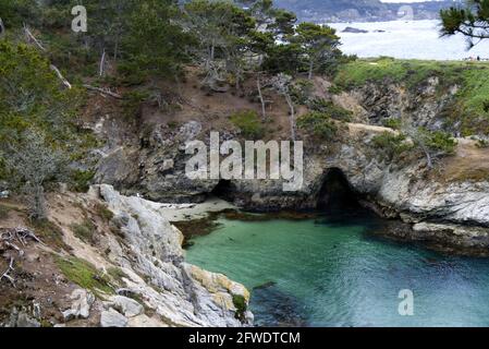 Point Lobos - Rocky Grotto Stockfoto