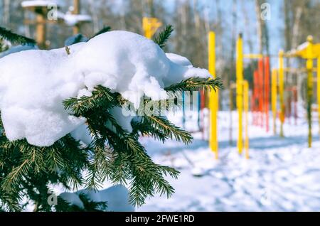 Schnee auf Kiefernästen, kalter Winter Weihnachten Weihnachtszeit Schneeflocken Textur auf dem Hintergrund von immergrünen Kiefernästen. Stockfoto