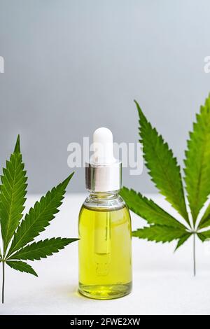 Kosmetik CBD-Öl und Blätter von Cannabis. Moderne Stillleben von Glasflaschen mit Hanföl, THC-Tinktur und Hanfblättern Stockfoto