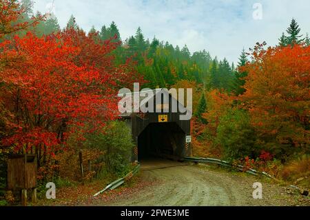 45 Covered Bridge, Fundy NP, New Brunswick, Kanada Stockfoto