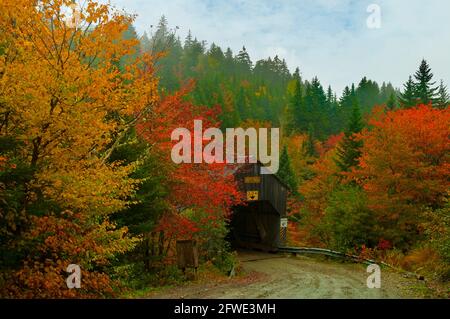 Fünfundvierzig bedeckt Brücke, Fundy National Park, New Brunswick, Kanada Stockfoto