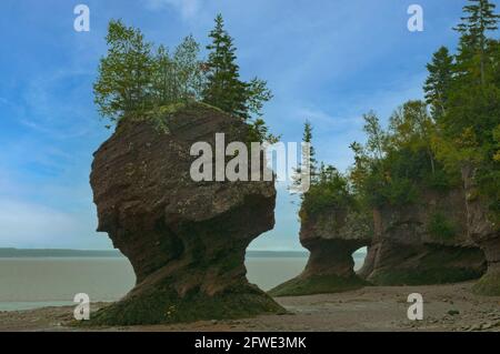 The Flowerpots, Hopewell Rocks, New Brunswick, Kanada Stockfoto