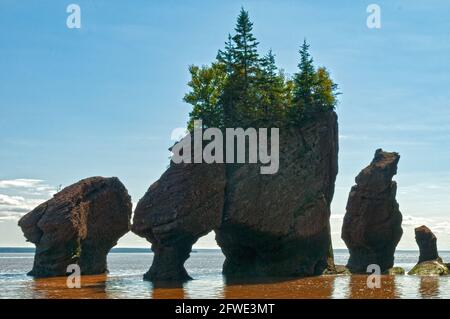 The Flowerpots, Hopewell Rocks, New Brunswick, Kanada Stockfoto