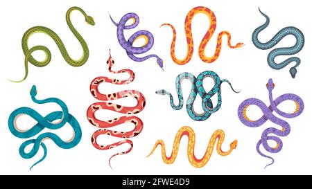 Wilde Schlangen. Bunte Korallenschlangen-Tattoos mit abstrakten und natürlichen Mustern. Viper, Anakonda kriechen und zischen. Vektorset „giftige Schlange“ Stock Vektor