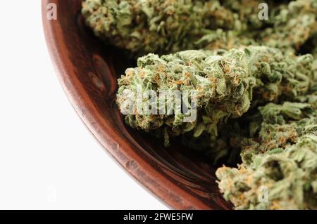 Cannabisknospen in brauner Tonschale, Nahaufnahme. Marihuana Blumen auf weißem Hintergrund. Hanf Erholung, Canna Küche, Legalisierungskonzept. Stockfoto