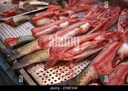 Eine Ausstellung frisch zubereiteter Graskarpfen zum Verkauf an einem Stand auf dem Ai Yuen Markt in Hongkong. Stockfoto