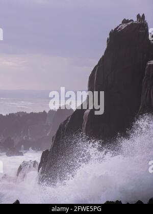 Die Wellen brechen spektakulär gegen die hohen, steilen Felsklippen entlang der Küste von Tsitsikamma im Garden Route National Park, Südafrika Stockfoto