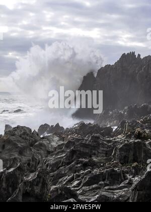 Die Wellen brechen spektakulär gegen die hohen, steilen Felsklippen entlang der Küste von Tsitsikamma im Garden Route National Park, Südafrika Stockfoto