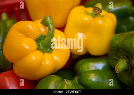 Eine Auswahl an Paprika an einem Stand im Tai Yuen Market in Hongkong. Stockfoto