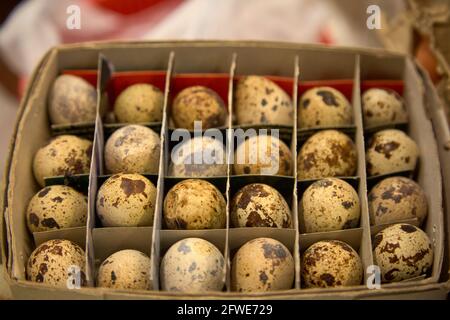 Ein Tablett mit frischen Wachteleiern zum Verkauf an einem Verkaufsstand auf dem Tai Yuen Markt in Hongkong. Stockfoto