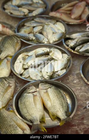 Frischer Fisch zum Verkauf auf dem Tai Yuen Markt in Hongkong. Stockfoto