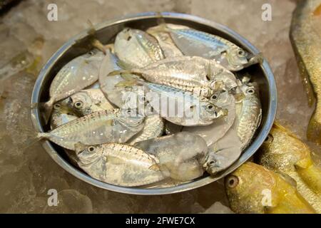 Frischer Fisch zum Verkauf auf dem Tai Yuen Markt in Hongkong. Stockfoto