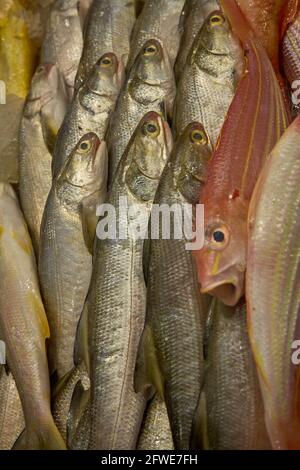 Frischer Fisch für den Tai Yuen Markt sale.in in Hongkong. Stockfoto