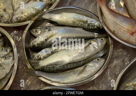 Frischer Fisch zum Verkauf in Tai Yuen Market, Hongkong. Stockfoto