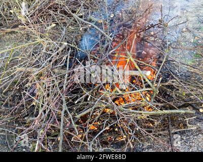 Haufen frisch beschnitzter Äste brennen aus der Nähe im Freien Stockfoto