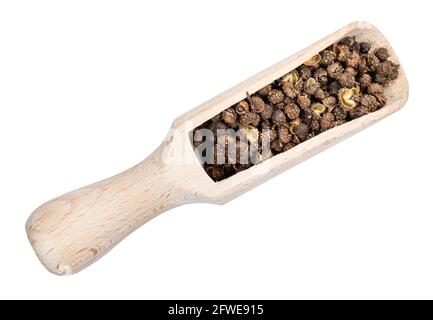 Draufsicht auf sichuanpfeffer in Holzportionierer Weißer Hintergrund Stockfoto
