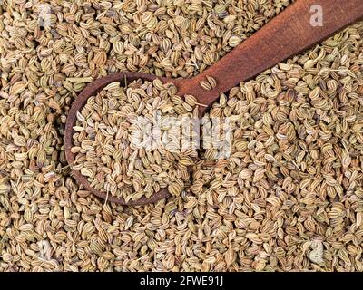 Holzlöffel auf Haufen von Ajowan Früchten Nahaufnahme Stockfoto