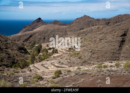 La Costa ist ein kleines Dorf auf Terrassen im Nordwesten von La Gomera auf der Kanarischen Insel mit vielen Palmen. Stockfoto