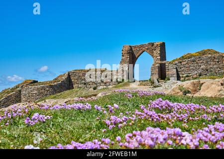 Bild von Schloss Grosnez halten mit außer Fokus rosa Blumen im Vordergrund und blauen Himmel. Jersey CI. Selektiver Fokus Stockfoto