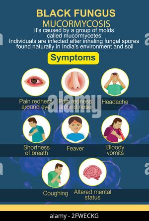 Infografiken zur schwarzen Pilzerkrankung. vektor-Illustration Design Stock Vektor