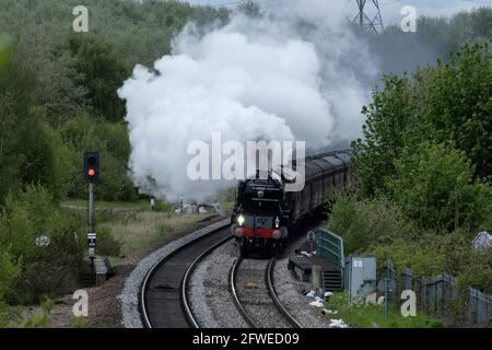 Dampflokomotive Tornado auf dem Weg nach Carlisle durch Kilnhurst, South Yorkshire. Stockfoto