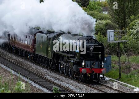 Dampflokomotive Tornado auf dem Weg nach Carlisle durch Kilnhurst, South Yorkshire. Stockfoto