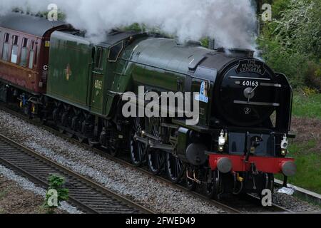 Dampflokomotive Tornado auf dem Weg nach Carlisle durch Kilnhurst, South Yorkshire. Stockfoto