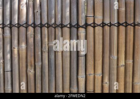 Bamboo Zaun oder Wand Textur Hintergrund für Innen-oder Außenbereich Design. Stockfoto